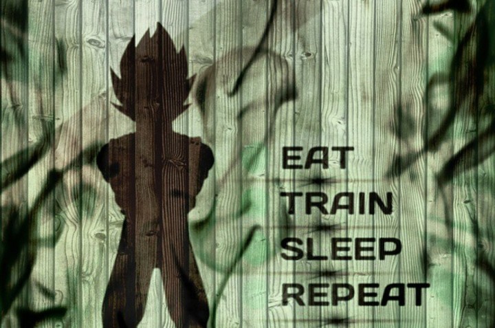 vegeta Quotes