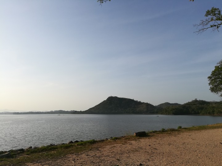 scene