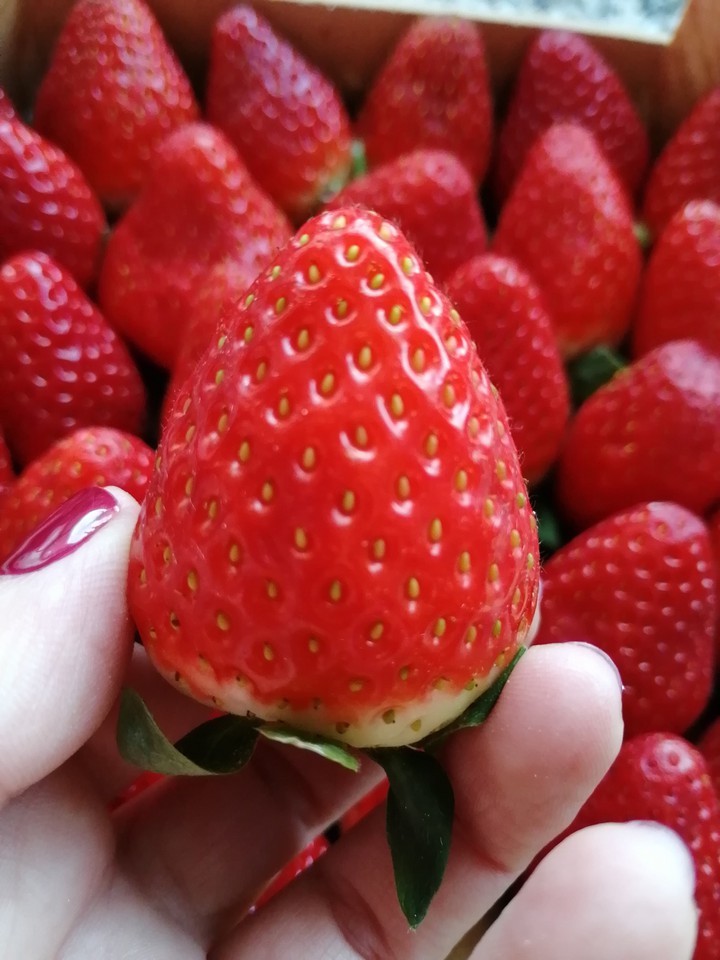 Delicious