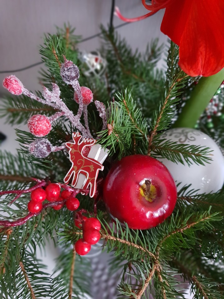 Christmas in red