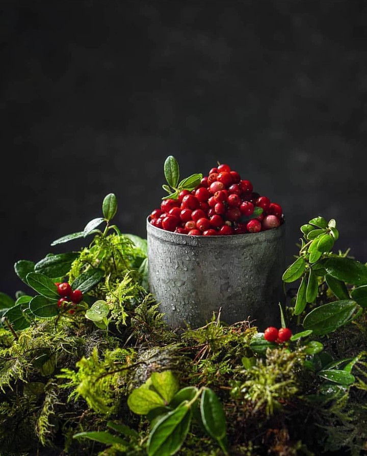 Lingonberry