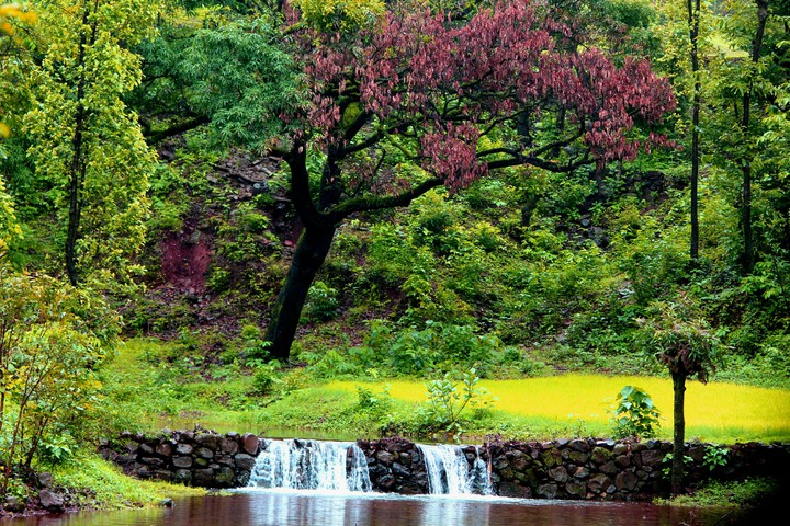 Mother Nature