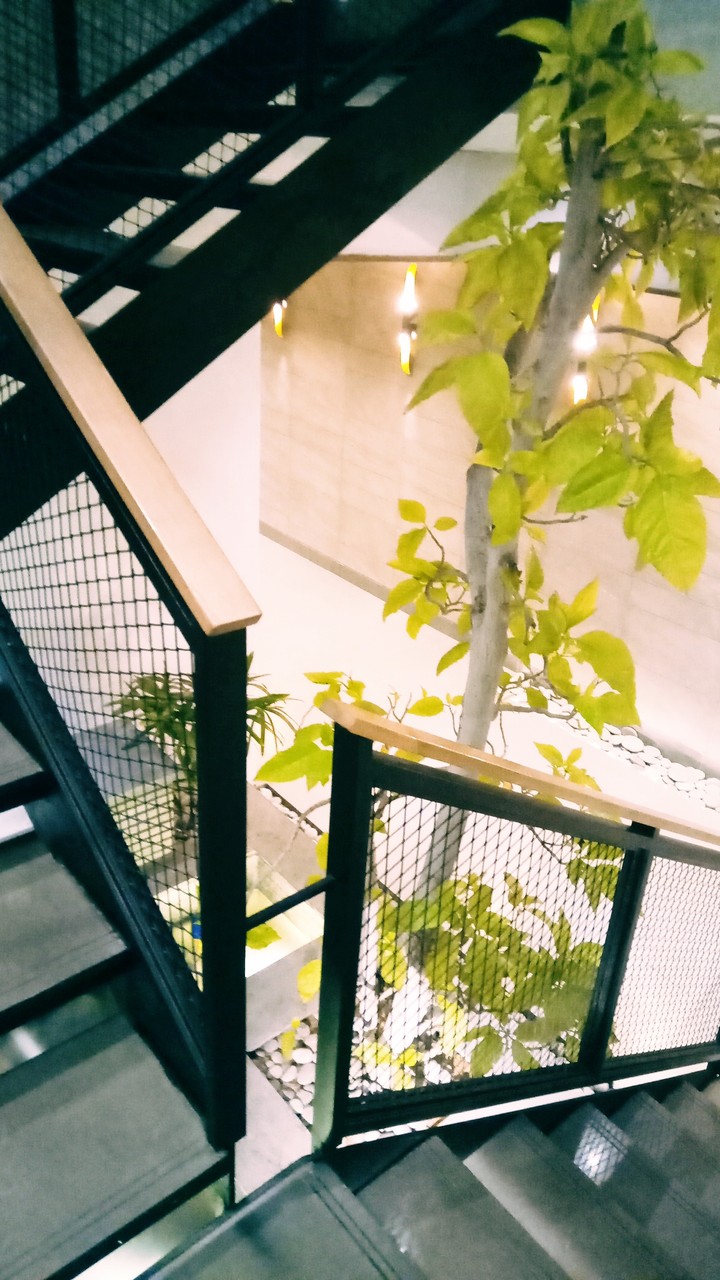 Modern Nature
