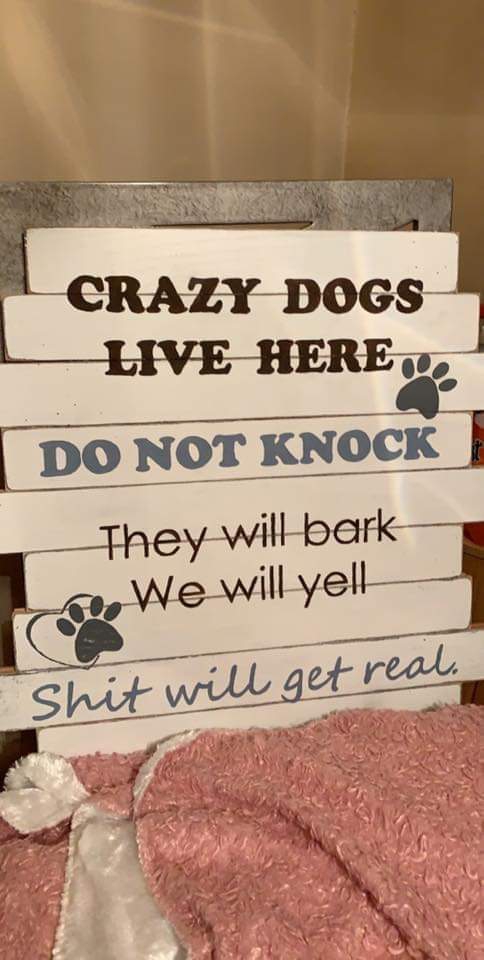 Crazy Dog live here