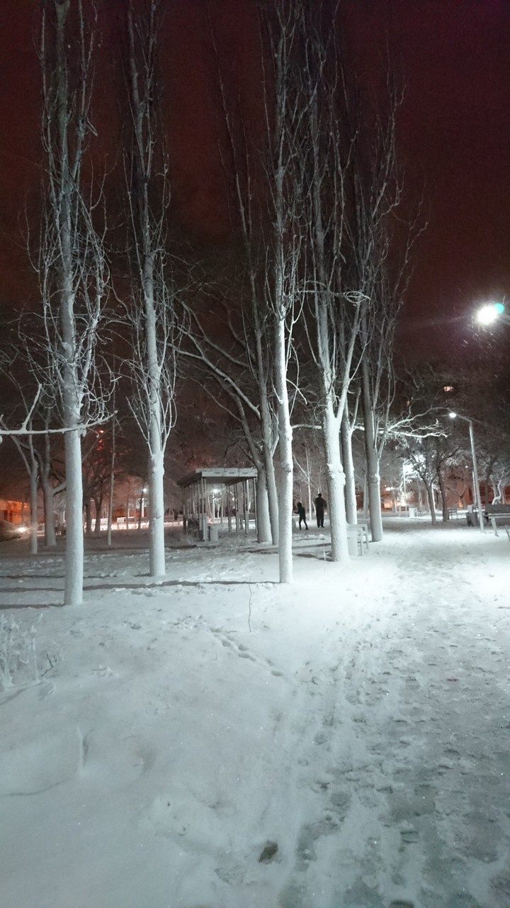 Park and winter