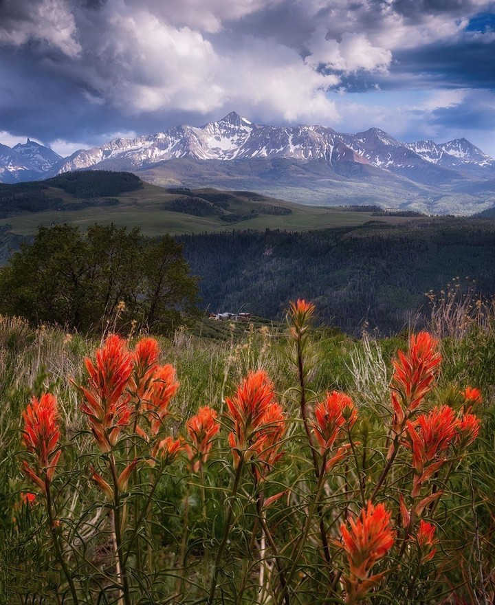 #mountains