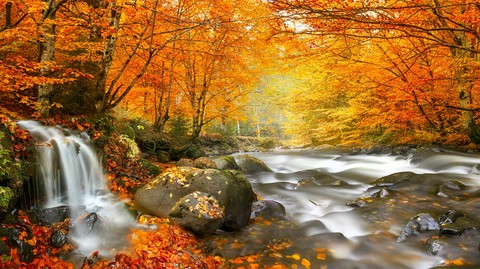 my favourite autumn