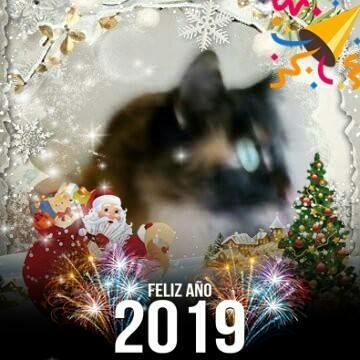 Luna con marco de feliz año nuevo 2019
