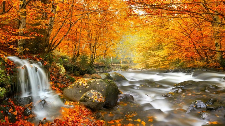 my favourite autumn