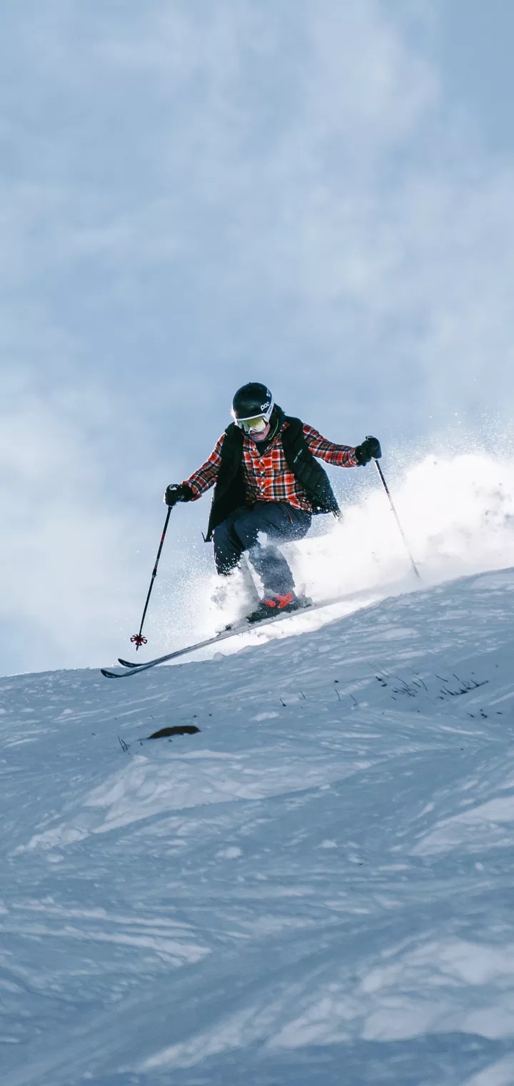 skiing skills