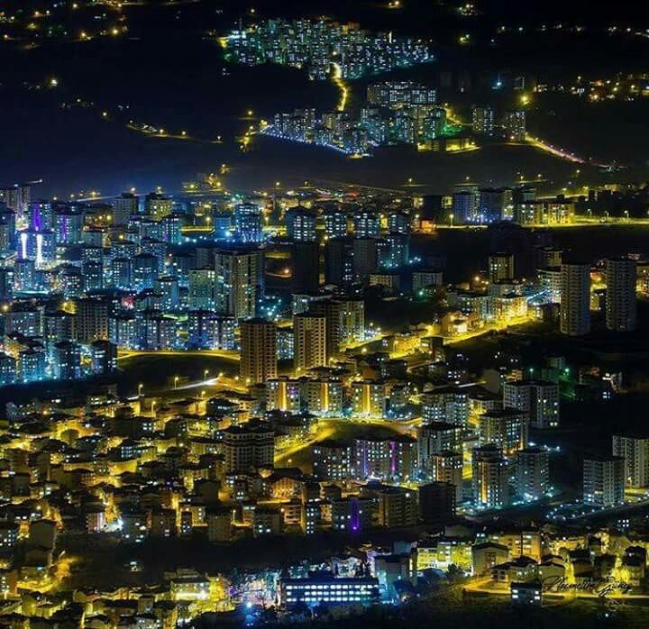 ordu