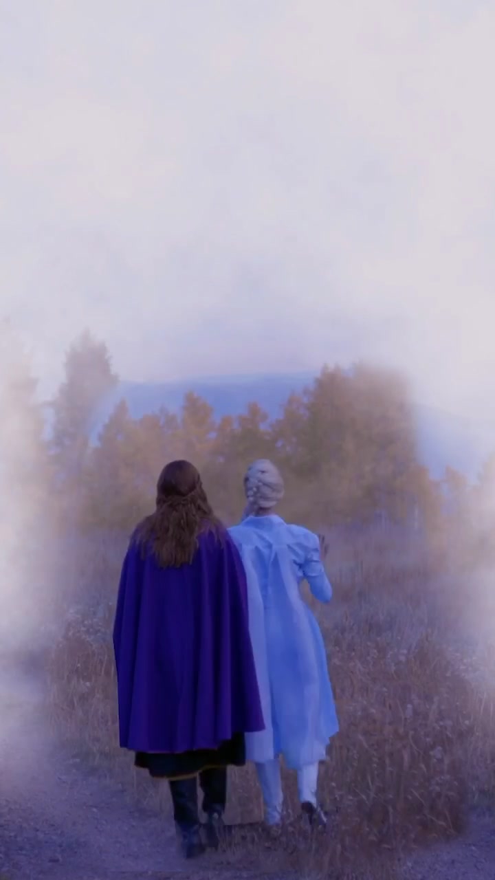 ANNA and ELSA in the Fog