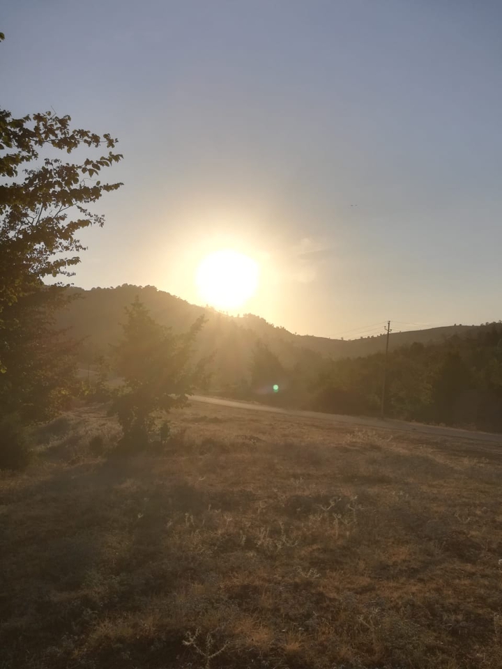 sun