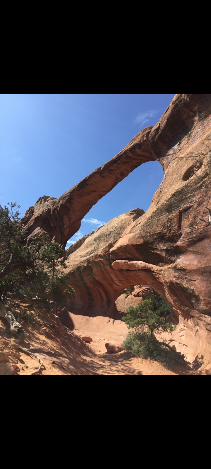 Arches