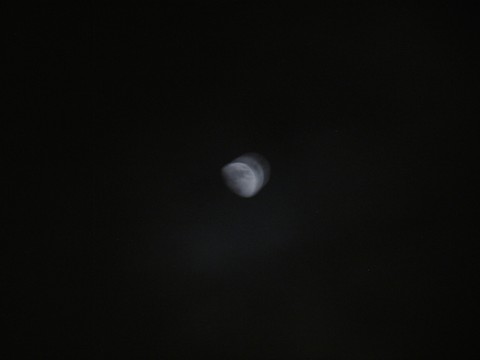 Distorsión de luna