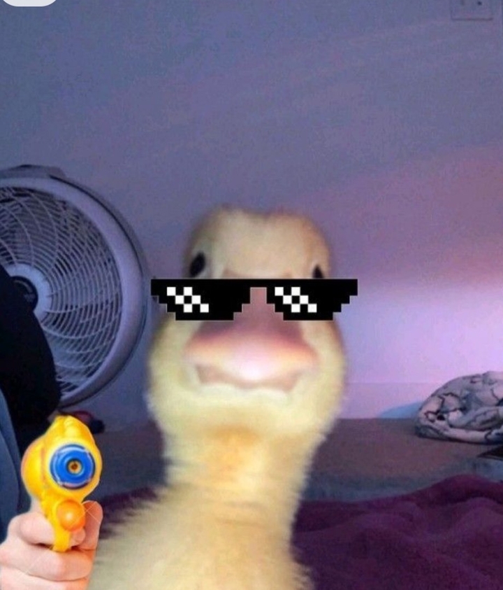 .