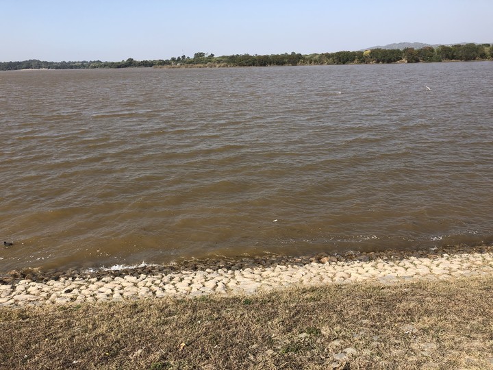 The Lake