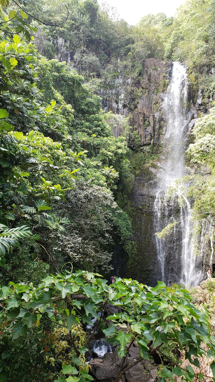 Beautiful Maui