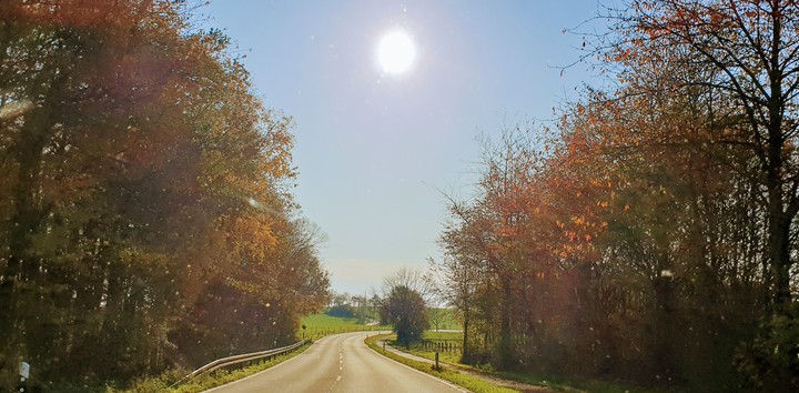 Sonnenschein