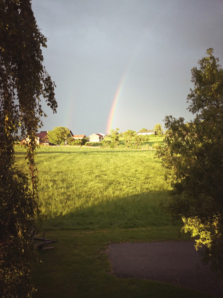 Rainbow