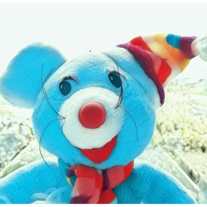 stuffer_toy