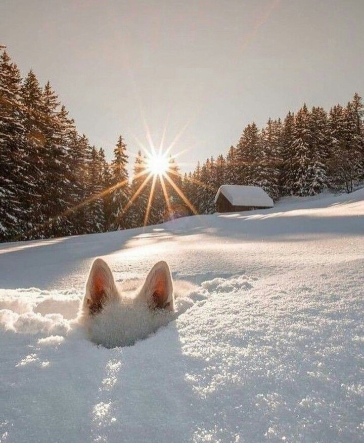 зима