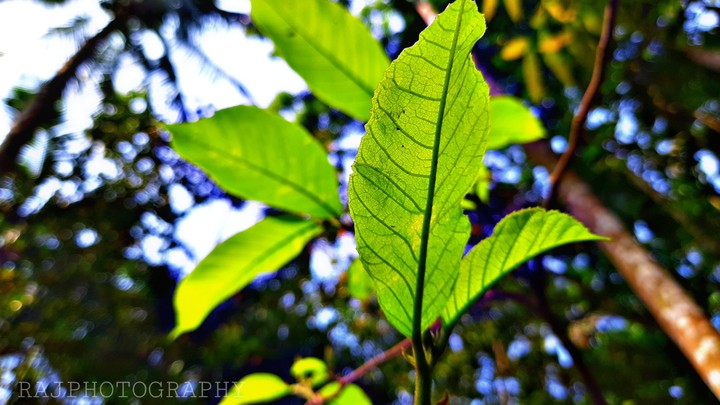 Mobile click