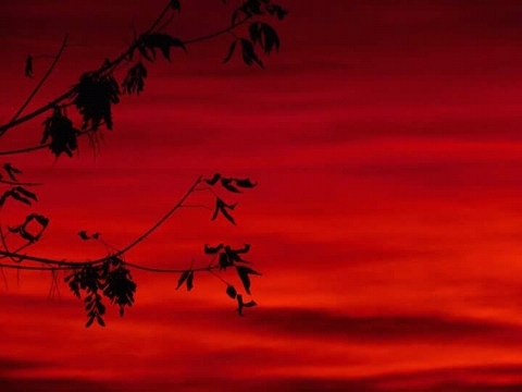 red sunset