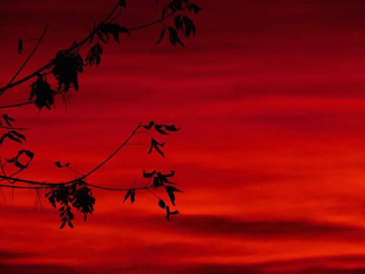 red sunset