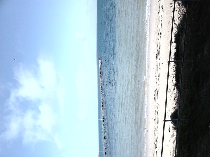 By the Sea