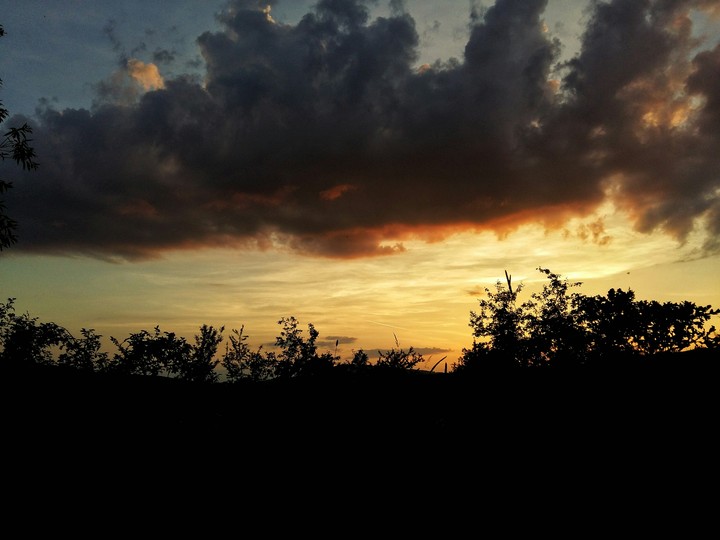 NATURE TRANSILVANY
