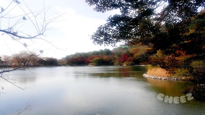 가을안에서