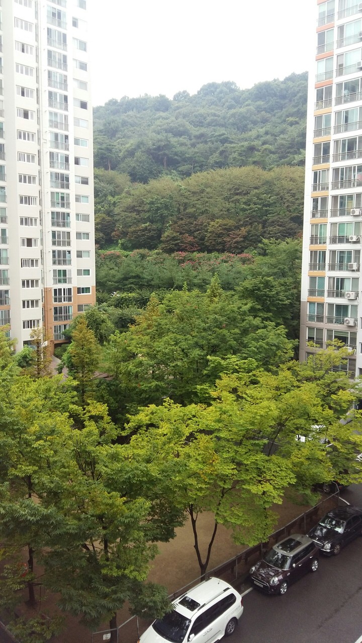 풍경