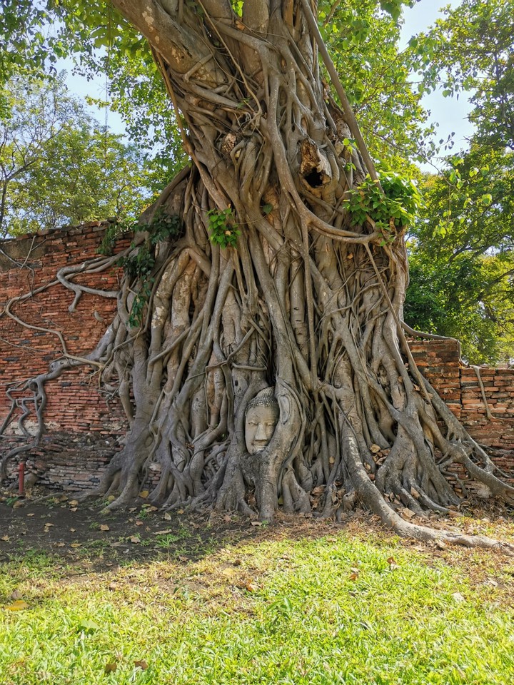 Buddha