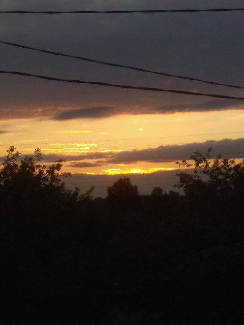 Evening