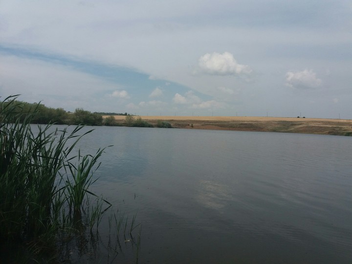 пейзаж