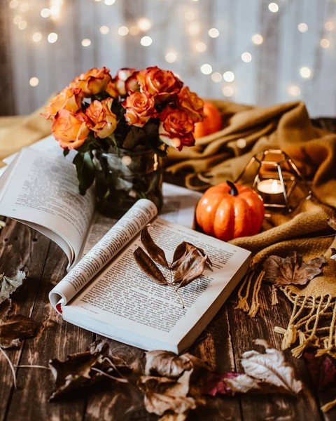 twinkle, fallenleaves duvar kağıtları