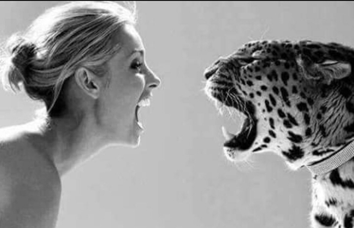 Tiger Girl