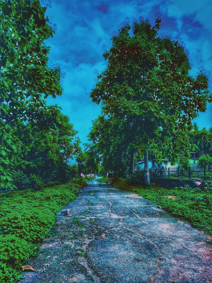 Raining season