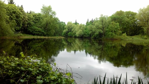 Botanika garden.