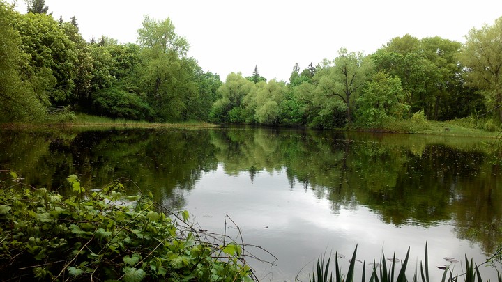 Botanika garden.