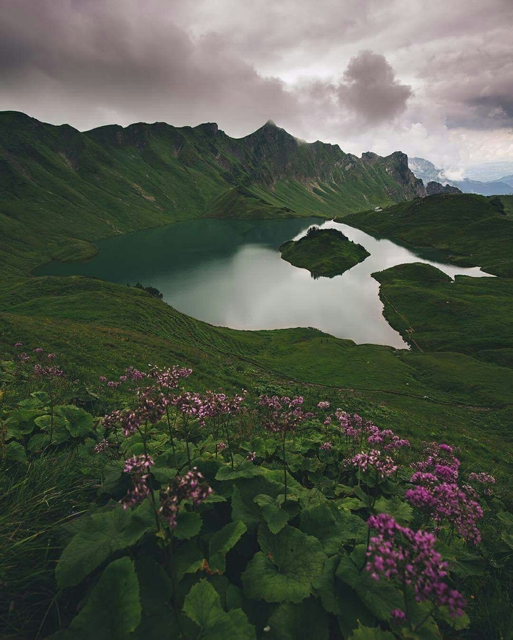 Green land