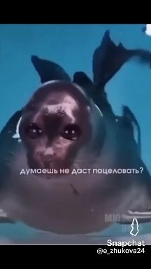 ути пути