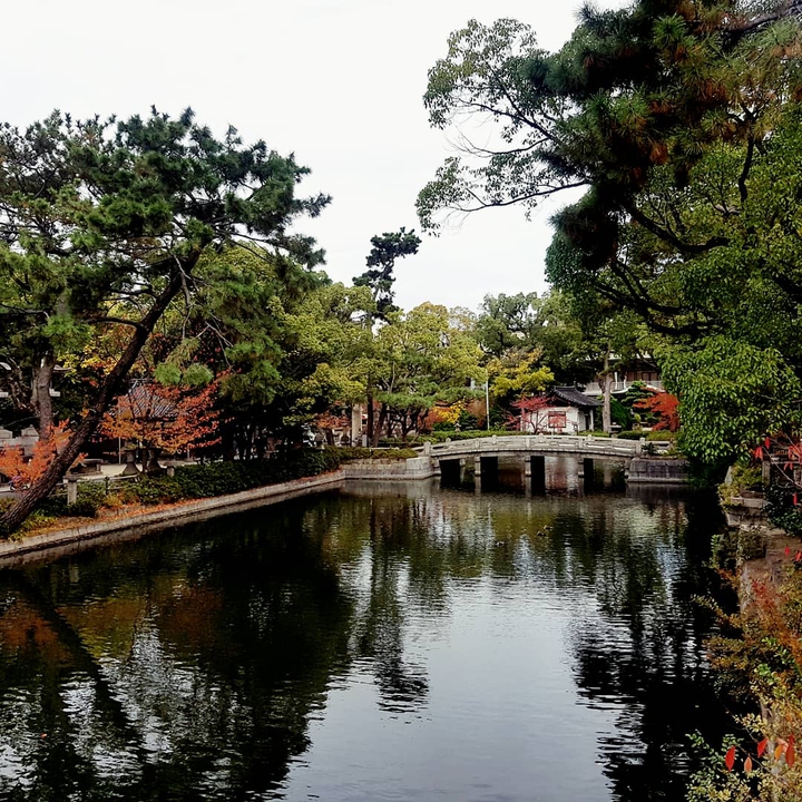 park
