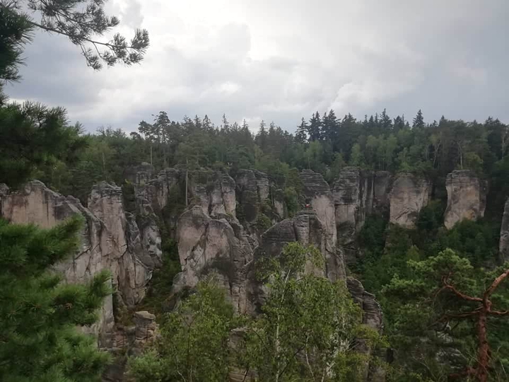 View