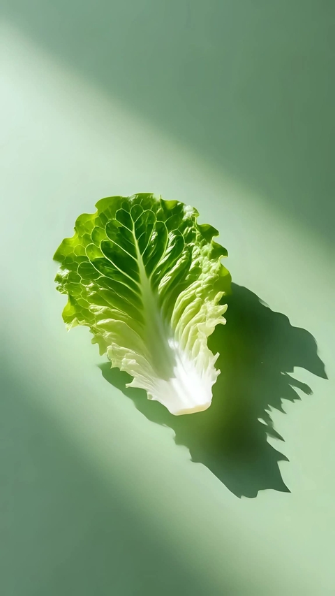 ταπετσαρίες vegetable