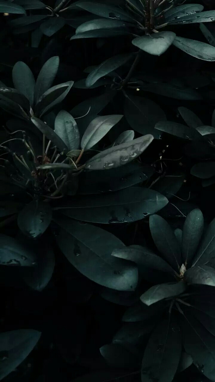 green plants
