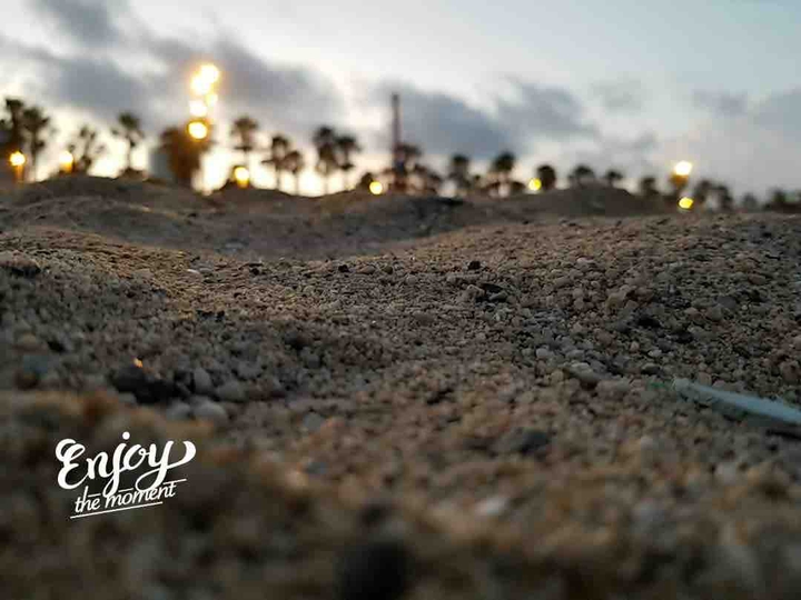 enjoy the moment