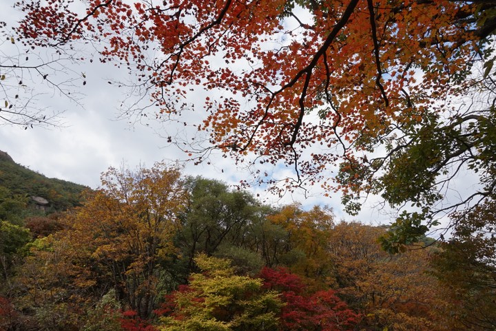 가을 3