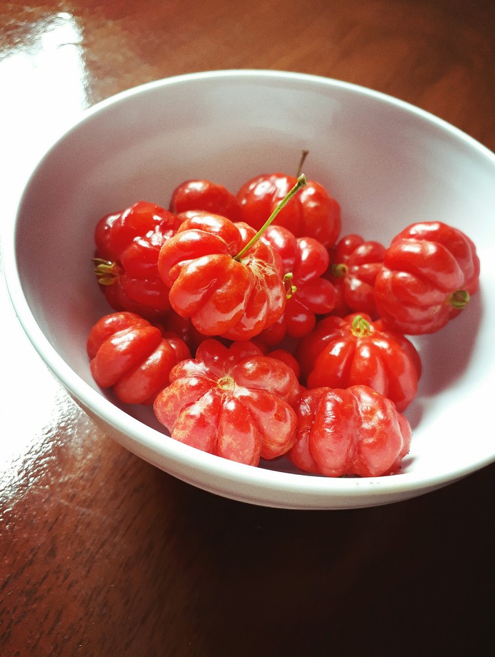 Pitanga